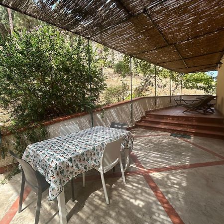 Apartament La Pineta Al Mare Erice Zewnętrze zdjęcie